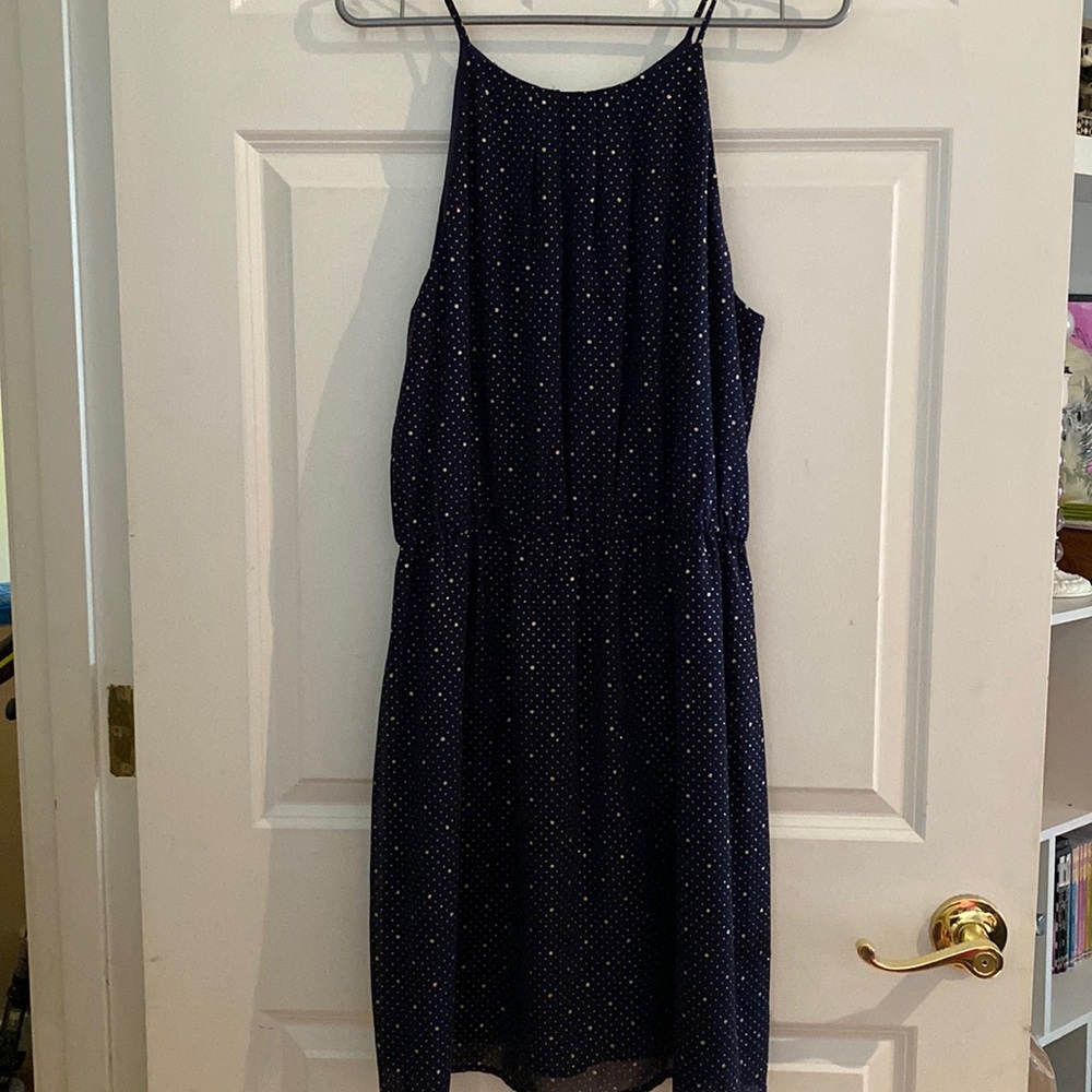 Collective Concepts navy and gold dress